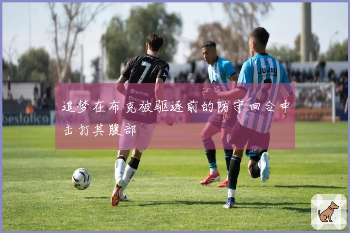 追梦在布克被驱逐前的防守回合中击打其腹部